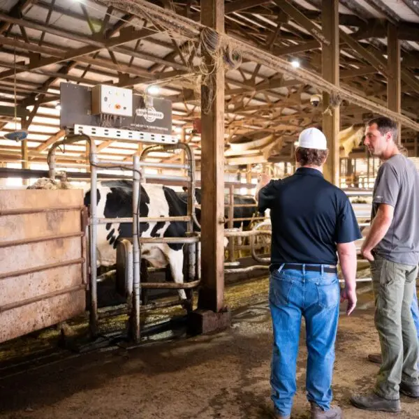 Sort Gate at Foresight Farms