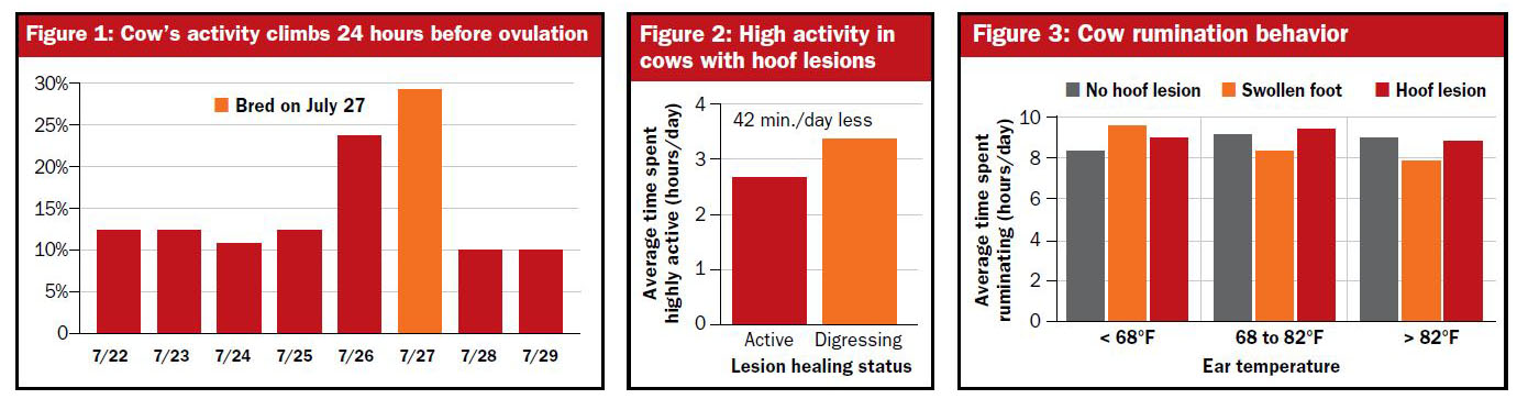 Hoof lesions research graph