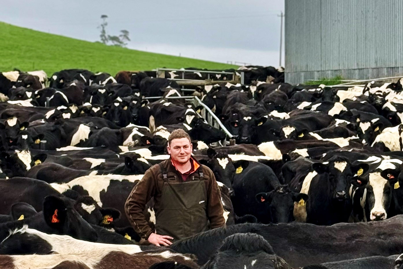 Cowmanager Proves Cost Effective Farmer Stories
