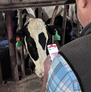 Ben Dickman, Dickman and Sons Dairy on CowManager app